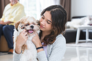 Portrait of Caucasian teenage girl playing with shih tzu puppy dog at home. Young beautiful woman sitting on floor, smiling, having fun holding little fluffy dog pet with love and care