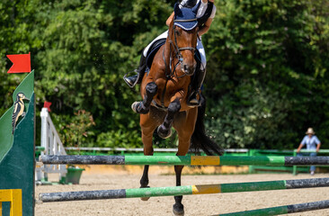 Show jumping competition on horseback. Horse Jumping, Equestrian Sports, Show Jumping themed photo.

