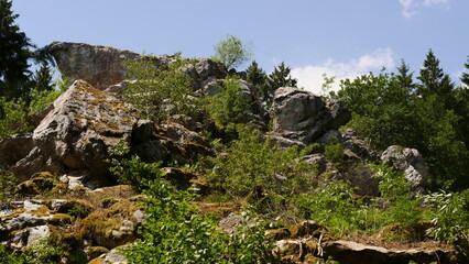 Der Fleschfelsen an der Wanderung RuT1