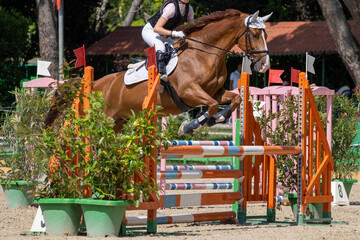 Show jumping competition on horseback. Horse Jumping, Equestrian Sports, Show Jumping themed photo.
