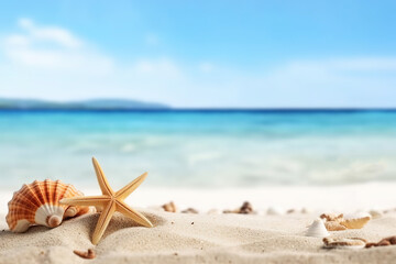 Fototapeta na wymiar Vacation concept - starfish and seashells on the beach,