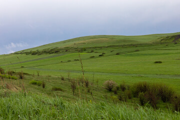 Fototapeta na wymiar Beautiful hill fully covered with lush green grass on a rainy spring day