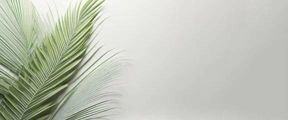 Fotobehang Tropical palm leaves on white background. banner, Copy space for text. generate ai © gusion