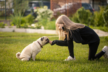 Obraz na płótnie Canvas Dog training. Pug. The girl plays with the dog. Pet care.