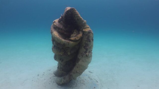 Estatua bajo el mar con forma de concha y silueta de virgen en arrecife del caribe mexicano.
