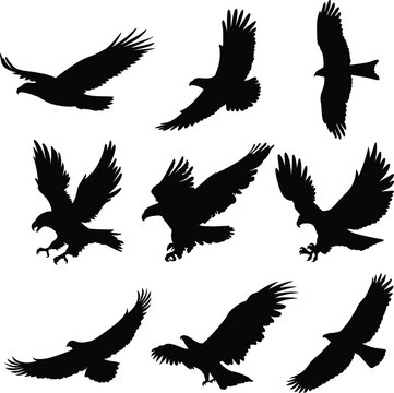 Wings of Freedom - Set of 9 Flying Eagle Black Vector Silhouettes