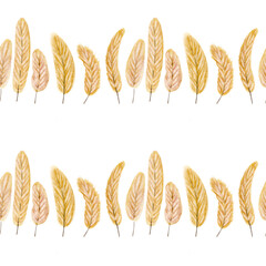 seamless patter with wheat on white background