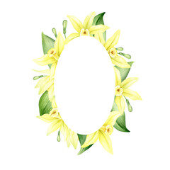 Frame of yellow vanilla flowers. Wreath with tropical exotic flowers. Watercolor illustration. Isolated. Flavoring for cooking. For greeting cards, postcard, scrapbooking, packaging design