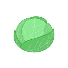 Cabbage, harvest, vegetable. Vector Illustration for printing, backgrounds, covers and packaging. Image can be used for greeting cards, posters, stickers and textile. Isolated on white background.