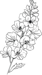 larkspur July flower tattoo, July birth flower tattoo, Hand drawn delphinium botanical spring elements bouquet of  flower line art coloring page
minimalist July birth flower larkspur tattoo, 