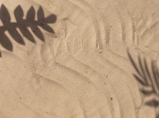 Sand on the beach with tropical leaves shadows frame. Copy space