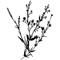 Silhouette botanic blossom floral element. Branch with leaves and flowers. Black hand drawing wildflower bouquet. Vector illustration herbs isolated on white background