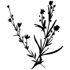 Silhouette botanic blossom floral element. Branch with leaves and flowers. Black hand drawing wildflower bouquet. Vector illustration herbs isolated on white background