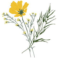 Field Flowers on Branch. Wildflower Icon. Hand Drawn	