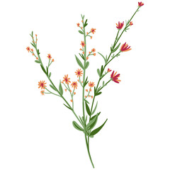 Obraz premium Field Flowers on Branch. Wildflower Icon. Hand Drawn 