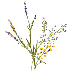 Field Flowers on Branch. Wildflower Icon. Hand Drawn	