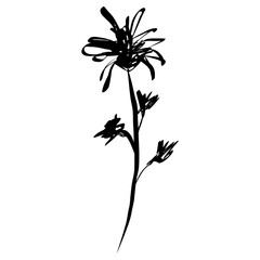 Flower Icon. Simple Hand Drawn Floral Element. Black Sketch ink Drawing Plant. Wildflower