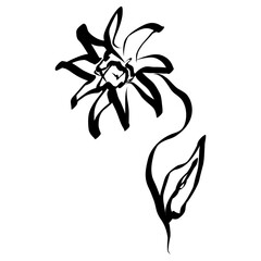 Flower Icon. Simple Hand Drawn Floral Element. Black Sketch ink Drawing Plant. Wildflower