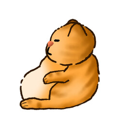 The picture cute fat cat siting.
