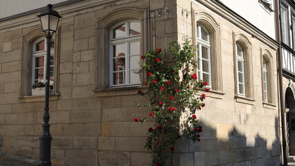 Fototapeta na wymiar Rote Rosen an einem Mittelälterischem Haus