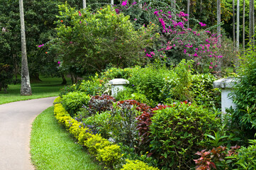 Botanical garden with rare exotic trees.