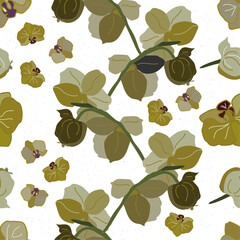 orchids flowers bouquet background abstraction leaves petals composition of flowers
