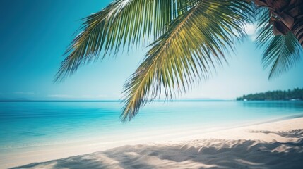 Naklejka na ściany i meble a palm tree on a beach with the ocean in the background. generative ai