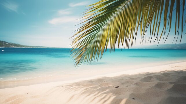  a palm tree branch on a beach with blue water in the background. generative ai © Oleg