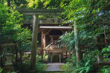 京都 日向大神宮 森の中の祠 厳島神社