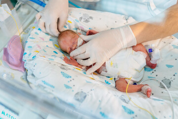 Unrecognizable hand in gloves of nurse or doctor taking care of premature baby placed in a medical...