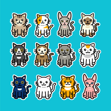 Cat breeds cartoon Vector collection. Different type of vector cartoon kittens set illustration design. multiple cat Animal cartoon sticker collection