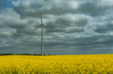 windmill on a field of blooming rapeseed, propeller in motion