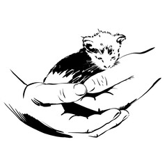 small cute kitten in man's hands. monochrome line kind sketch about pet and care, simple design for print, logo or tattoo