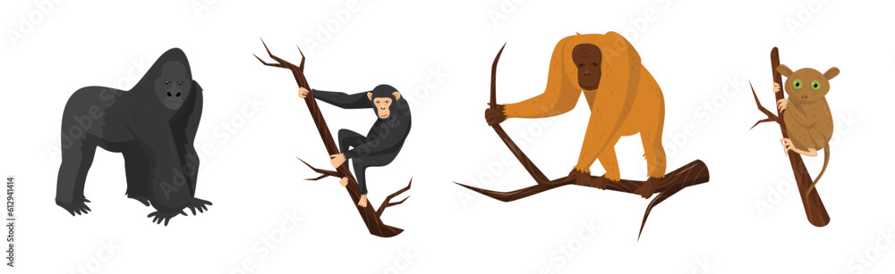 Poster monkey as arboreal ape with long tail sitting on branch vector set