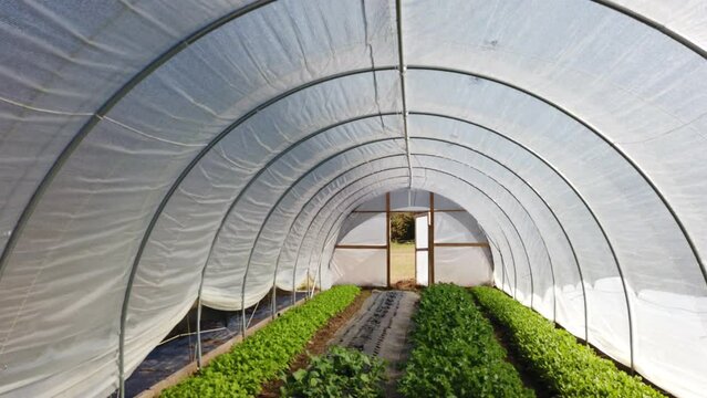 Aerial views from over a farm in Louisburg, North Carolina.