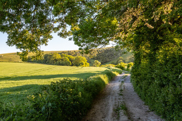 Obraz premium A track alongside farmland in rural Sussex