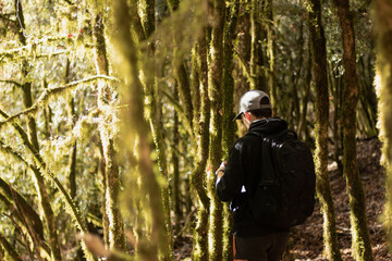 A man looking at a beautiful green forest.