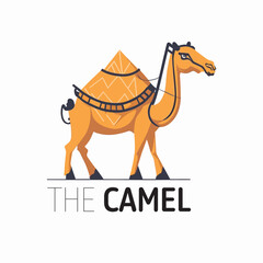 Vector camel logo template