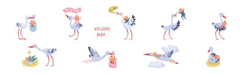 Funny Stork Animal Carrying Little Baby Vector Set