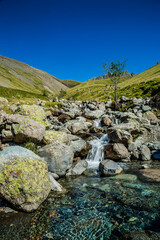 mountain river in the summer