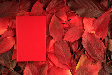 red hardcover book on red autumn leaves