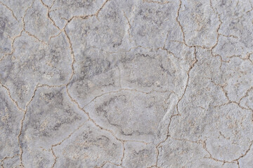 Cracked concrete floor texture background.  Rough and grunge floor texture. 