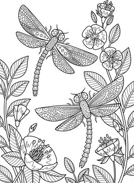 Doodle coloring dragonflies flying in flowers. Black and white zentangle vector illustration.