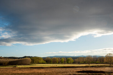 Landscape at sunset on a stormy spring afternoon, recently felled poplar forest.