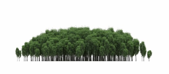 group of trees isolated on a white background, big trees in the forest, 3D illustration, cg render