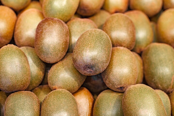 Kiwi many fruits stacked in rows in grocery supermarket, selective focus