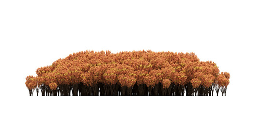 group of trees isolated on a transparent background, big trees in the forest, 3D illustration, cg render