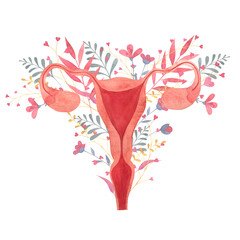 uterus painted in watercolor on a background of flowers, female reproductive organ, fallopian tubes, ovaries, cervical canal, isolated hand drawn illustration