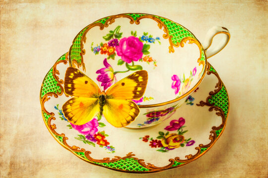 Tea Cup And Butterfly