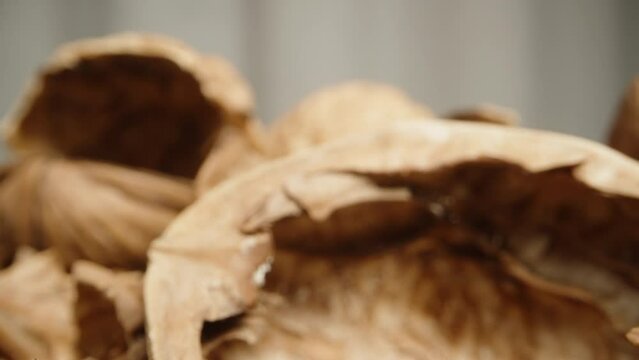 A mountain of empty walnut shells on a white background. Dolly slider extreme close-up.
